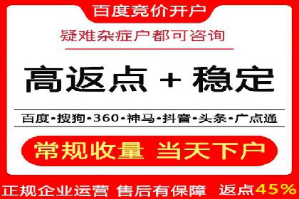 充值高返点背后的策略与技巧：案例分析